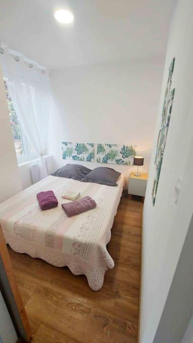 Appartements Cosy بلفور المظهر الخارجي الصورة